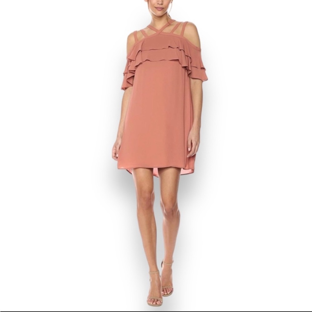 BCBGMaxAzria Pink Ruffle Mini Dress